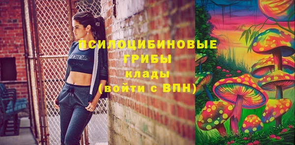 марки nbome Богородицк