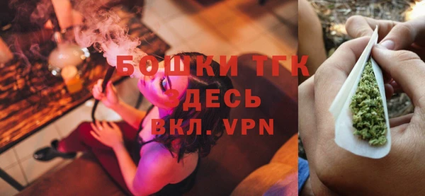 стаф Богданович