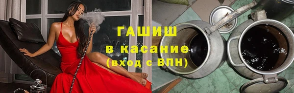 стаф Богданович