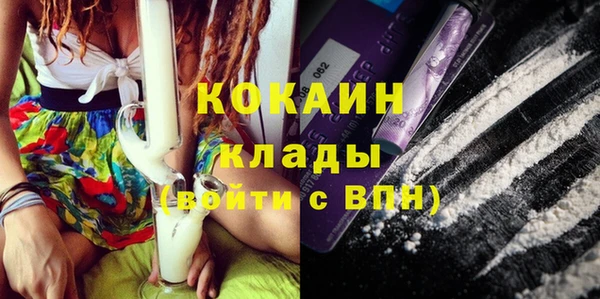 стаф Богданович