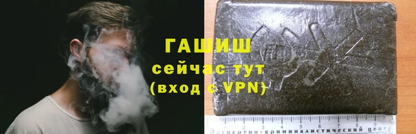 стаф Богданович