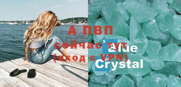 стаф Богданович