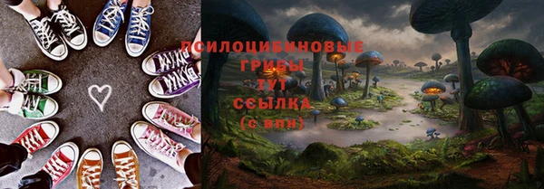 стаф Богданович
