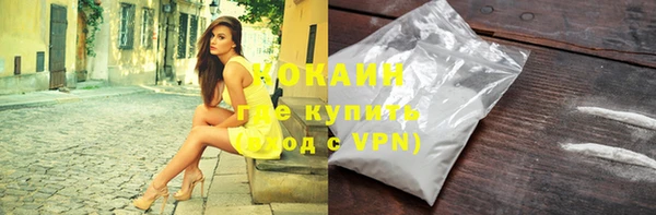 стаф Богданович