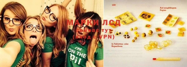 стаф Богданович